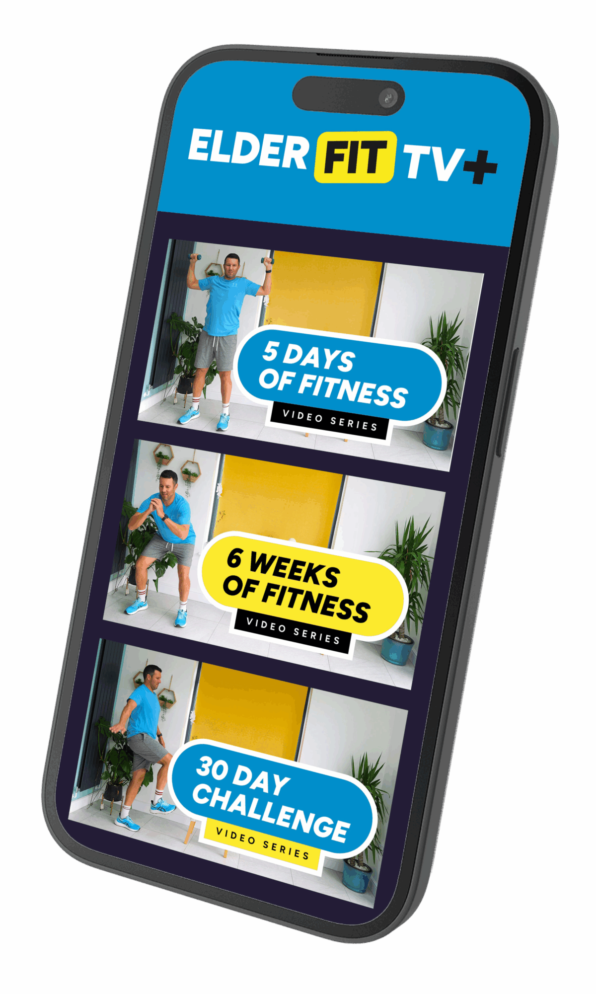 Exercise Types Elderfit TV exercise-types-elderfit-tv